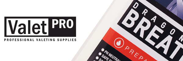 valet pro logo